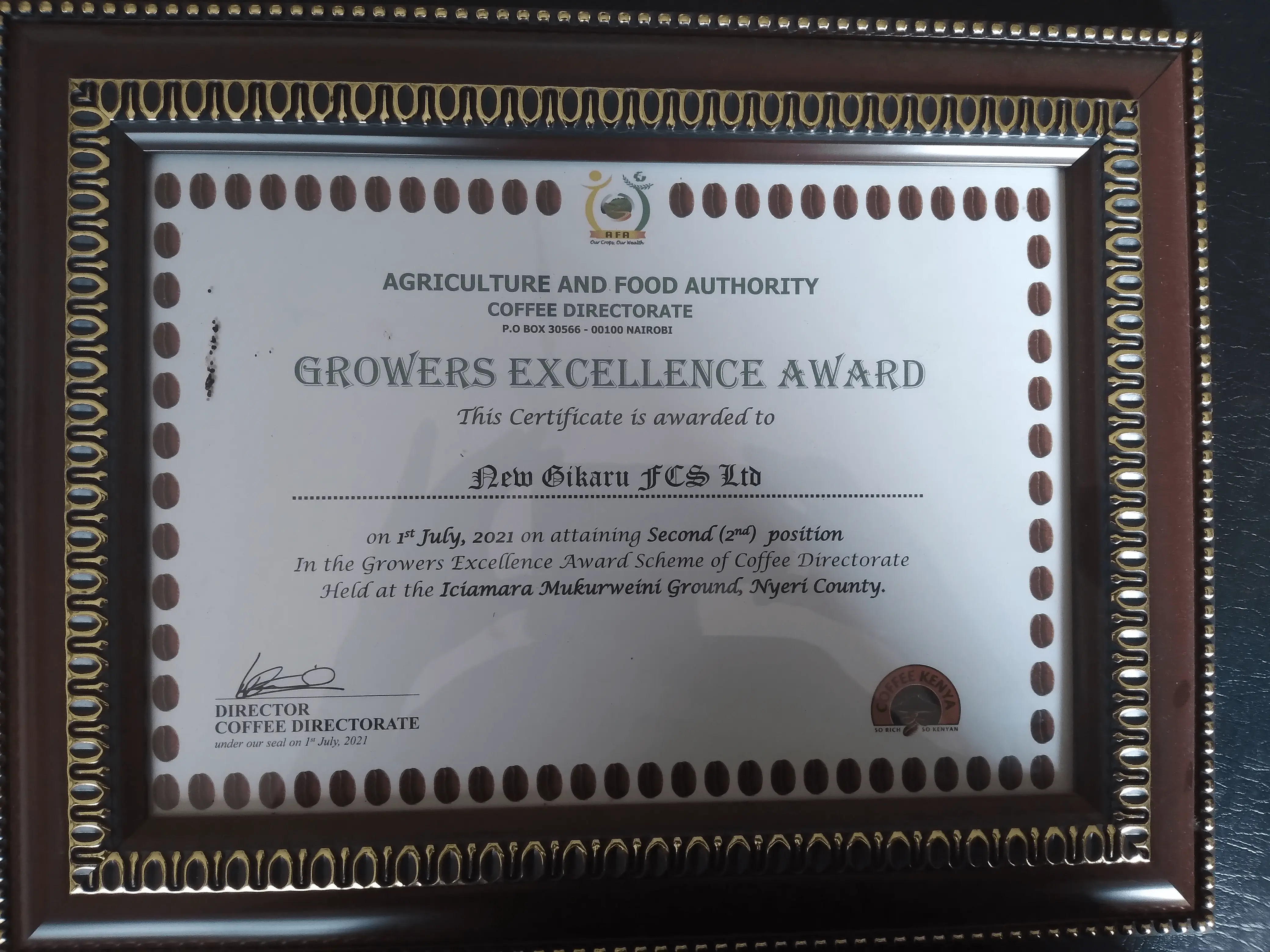 excellence award 